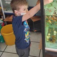 Acuario Visita Centro de Desarrollo Infantil Nuestro Futuro
