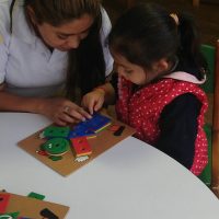 Niveles Centro de Desarrollo Infantil Nuestro Futuro 22